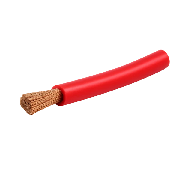 Câblage Électrique