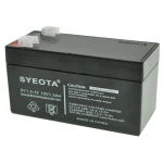 Batterie plomb 12V 1.3Ah rechargeable SY1.3-12 pour alarmes, balances et jouets