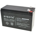 Batterie plomb 12V 9Ah rechargeable SY9-12 pour alarmes, balances et jouets