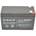 Batterie plomb rechargeable 12V 7Ah SY7-12 pour alarmes, UPS et plus