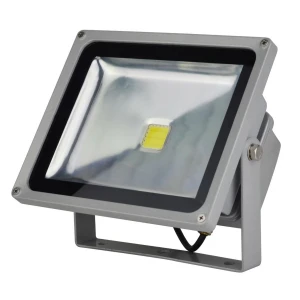 Projecteur LED 30W 3000K blanc chaud pour extérieur