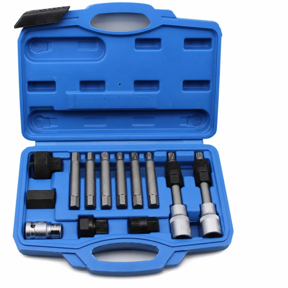 Kit Extracteur Poulies Alternateur 13 Pièces Clés Douilles Roue Libre OAD Professionnel