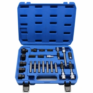TSX TOOL Kit Extracteur Poulies Alternateur 24 Pièces Professionnel Roue Libre OAD Universel