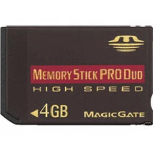 Memory Stick Pro Duo 4GB compatible PSP pour consoles PSP